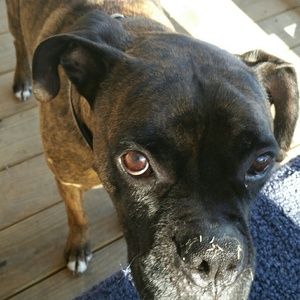 Meet your Posher, Lynette