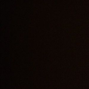 Meet your Posher, Lauryn