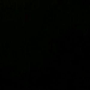 Meet your Posher, Bodhi