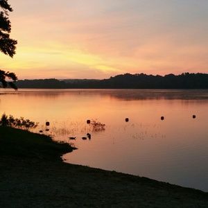 Meet your Posher, Greg