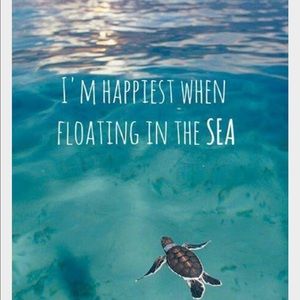 Meet your Posher, Sydney