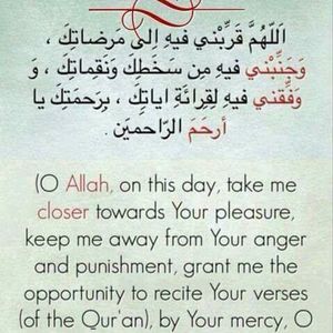 Meet your Posher, Anab