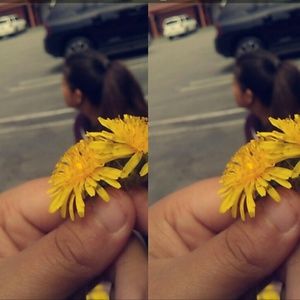 Meet your Posher, Dulce