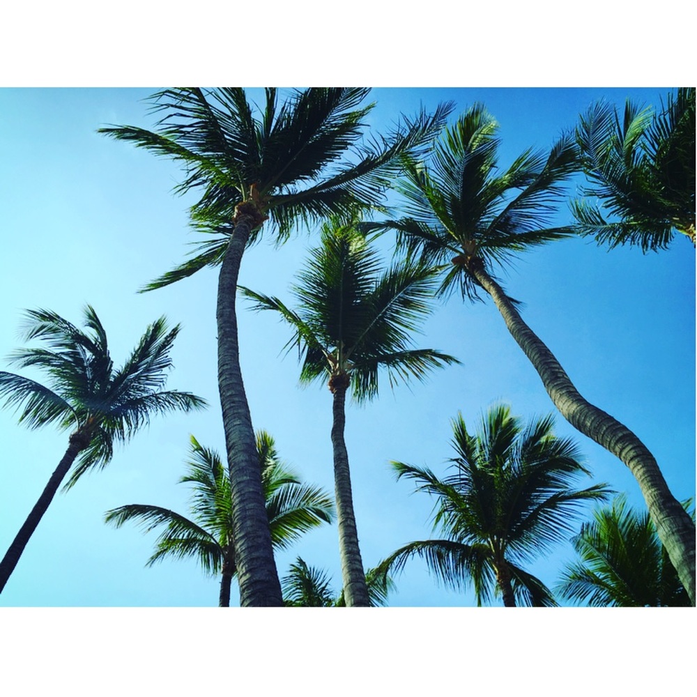 Meet your Posher, Annie