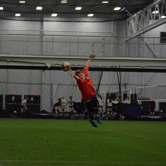 Meet your Posher, Jeffrey - Picture 1 of 1