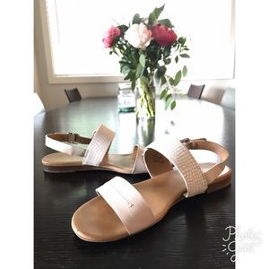 Franco Sarto Shoes - Franco Sarto Gustavo Flat Sandal Franco Sarto Shoes - Franco Sarto Gustavo Flat Sandal