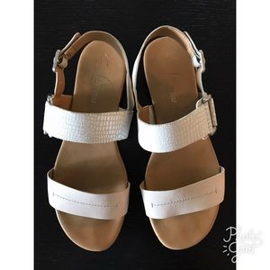Franco Sarto Shoes - Franco Sarto Gustavo Flat Sandal Franco Sarto Shoes - Franco Sarto Gustavo Flat Sandal