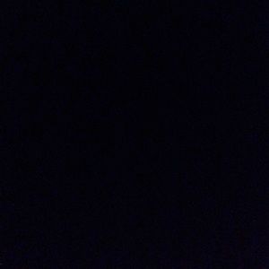 Meet your Posher, Shane