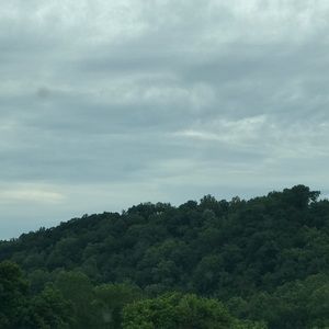 Meet your Posher, Tanya