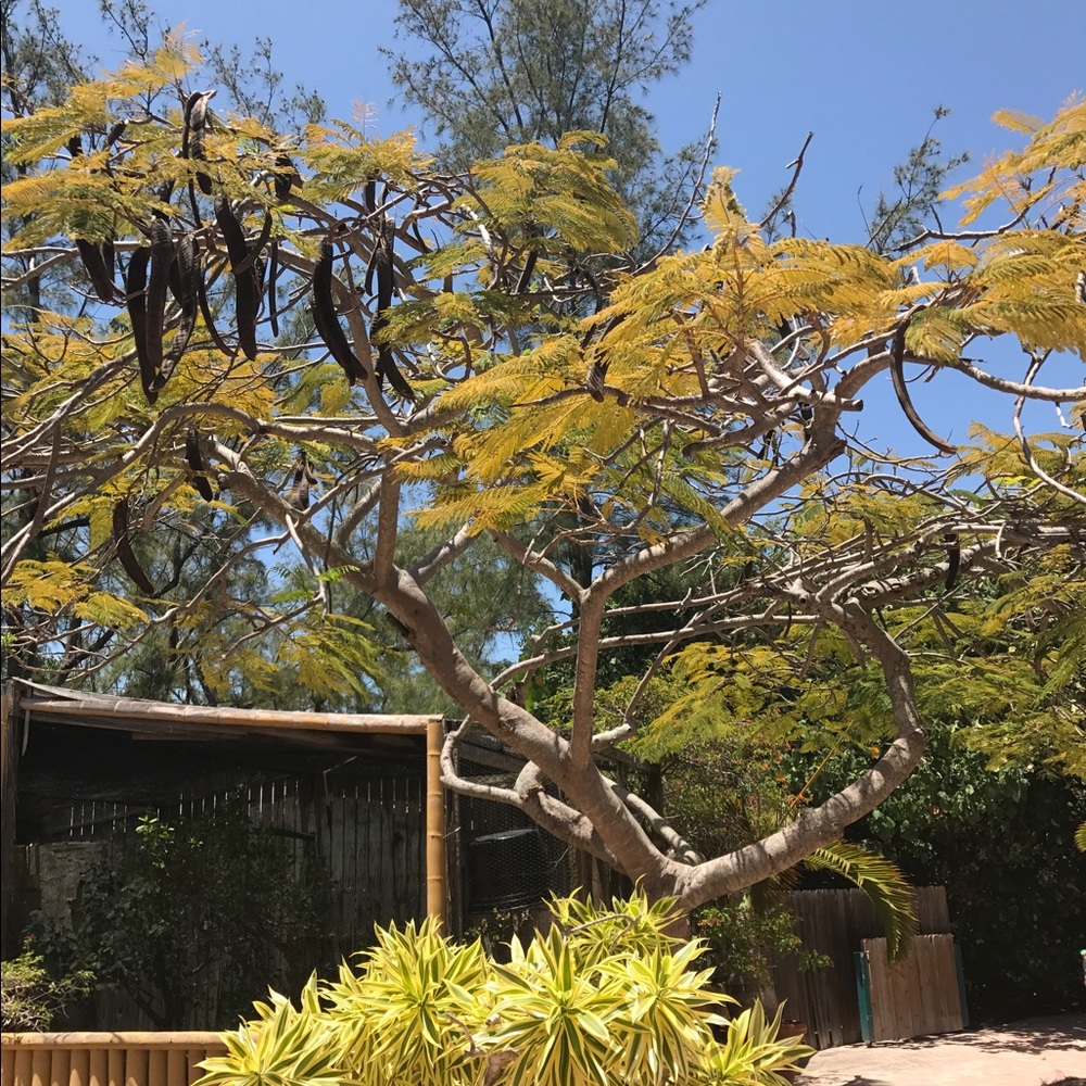 Meet your Posher, Yolanda