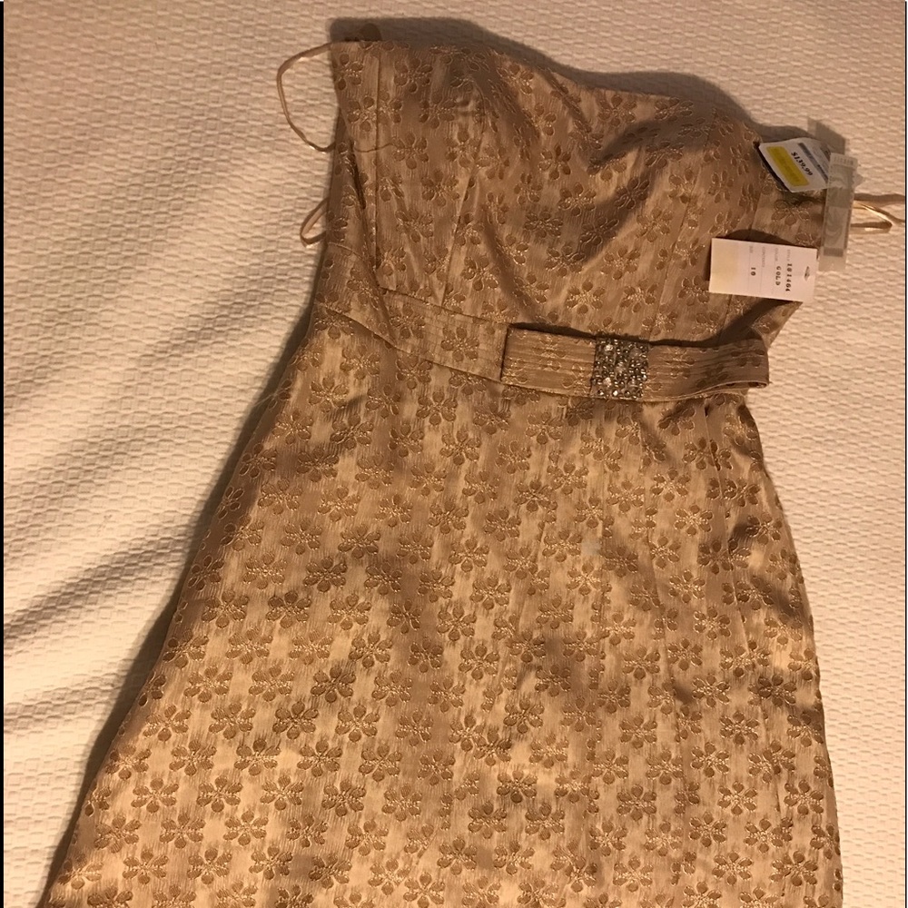 GOLD WAISTBAND COCKTAIL DRESS