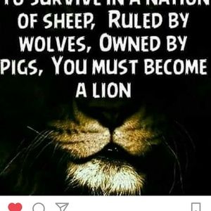 Meet your Posher, Bj