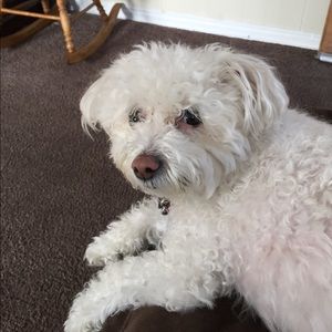 Meet your Posher, Maria de jesus