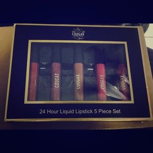 24 Hour Liquid Lipstick 5 Piece Set