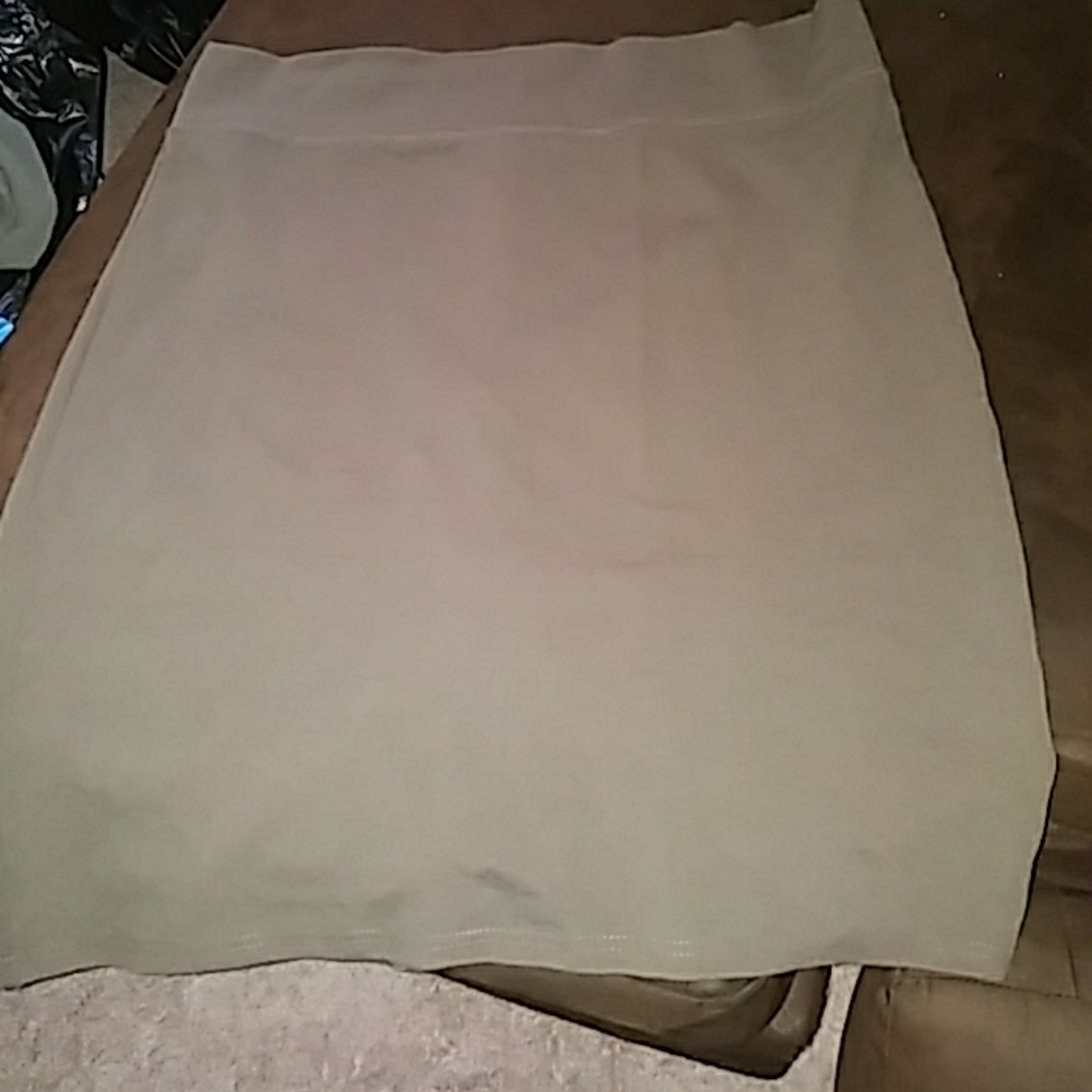 Plus Size BodyCon Skirt