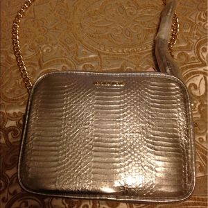 Silver Victoria's Secret purse