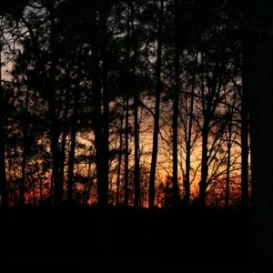 Meet your Posher, Johnnie