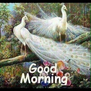 Meet your Posher, Sonia