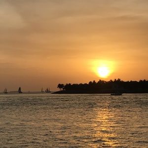 Meet your Posher, Darcy