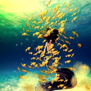 Meet your Posher, Chloe