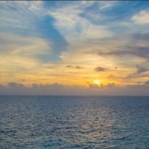 Meet your Posher, Tracey