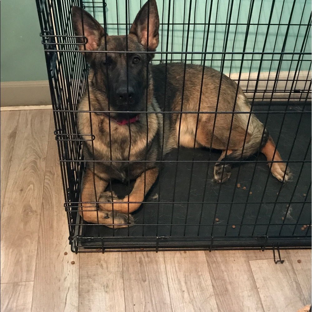 Meet your Posher, Emily