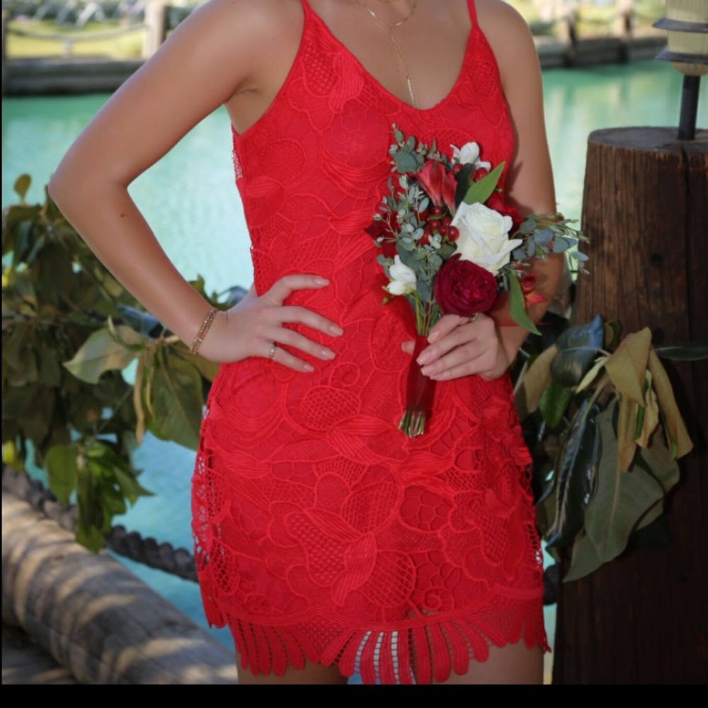 express lace trapeze dress