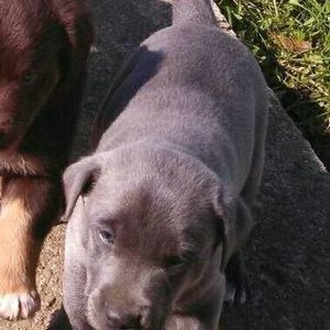 Meet your Posher, Melisa