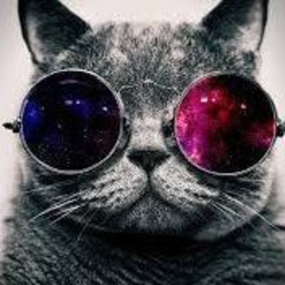 Meet your Posher, Gideon - Picture 1 of 1