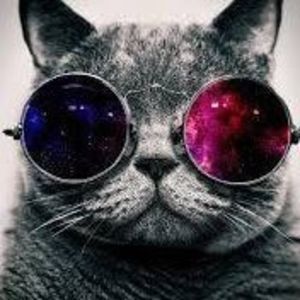 Meet your Posher, Gideon