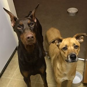 Meet your Posher, Matt