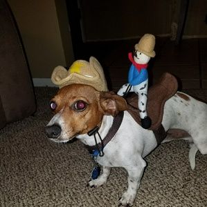 Meet your Posher, Sandra