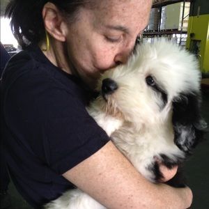 Meet your Posher, Jill