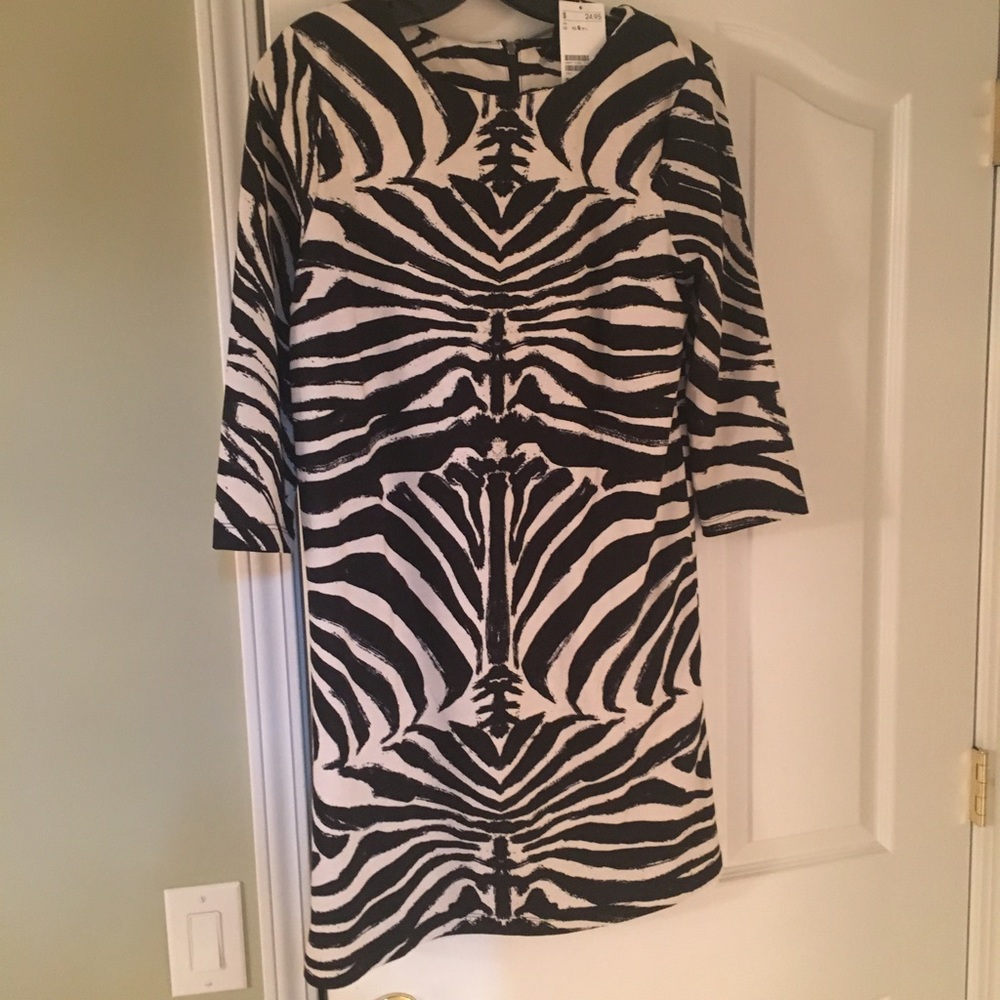 Zebra print shift dress