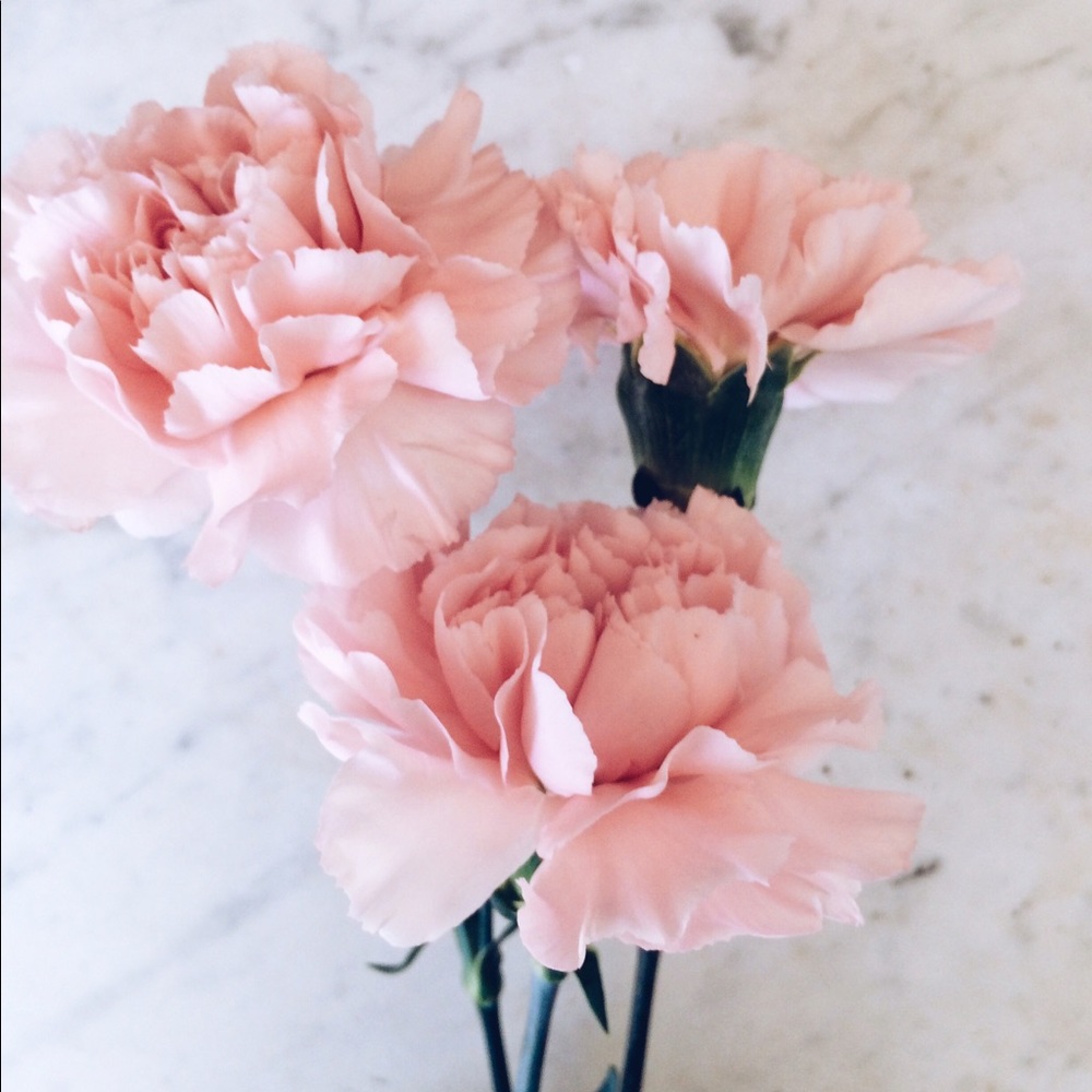 Meet your Posher, Suzanna