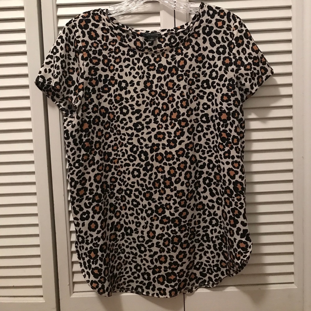 Ann Taylor Blouse