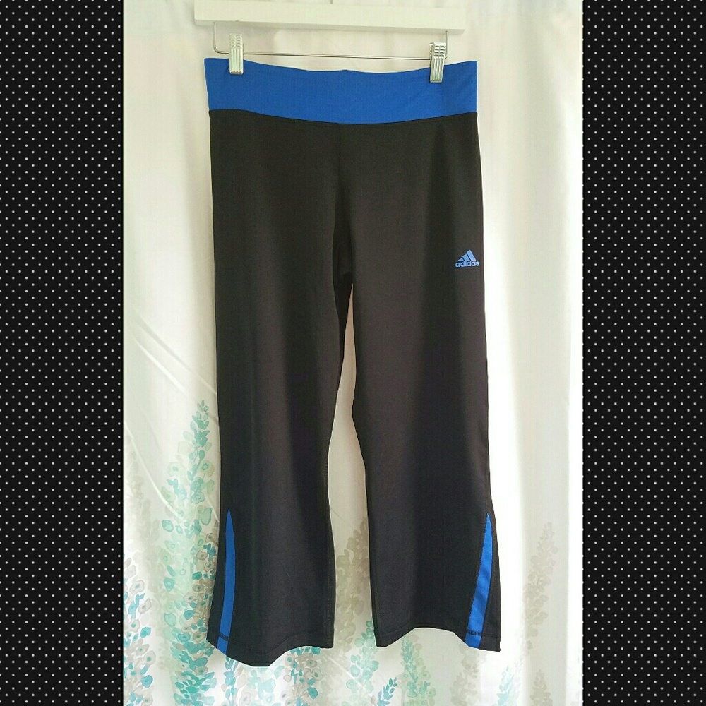 Adidas Workout Crop Pants