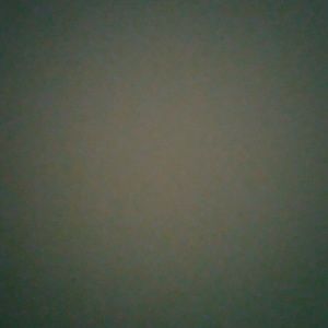 Meet your Posher, Judy