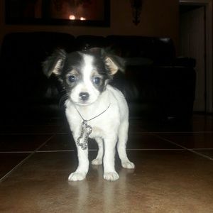 Meet your Posher, Vanessa