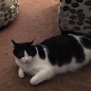 Meet your Posher, Ella