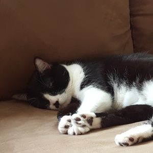 Meet your Posher, Angela