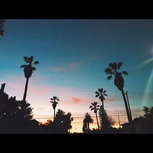 Meet your Posher, Yasmine