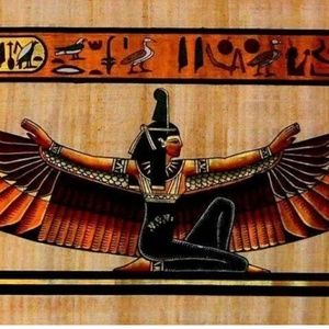 Meet your Posher, Janet