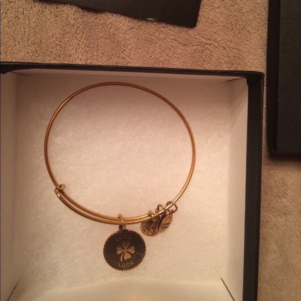Alex & Ani Good Luck Charm Bangle