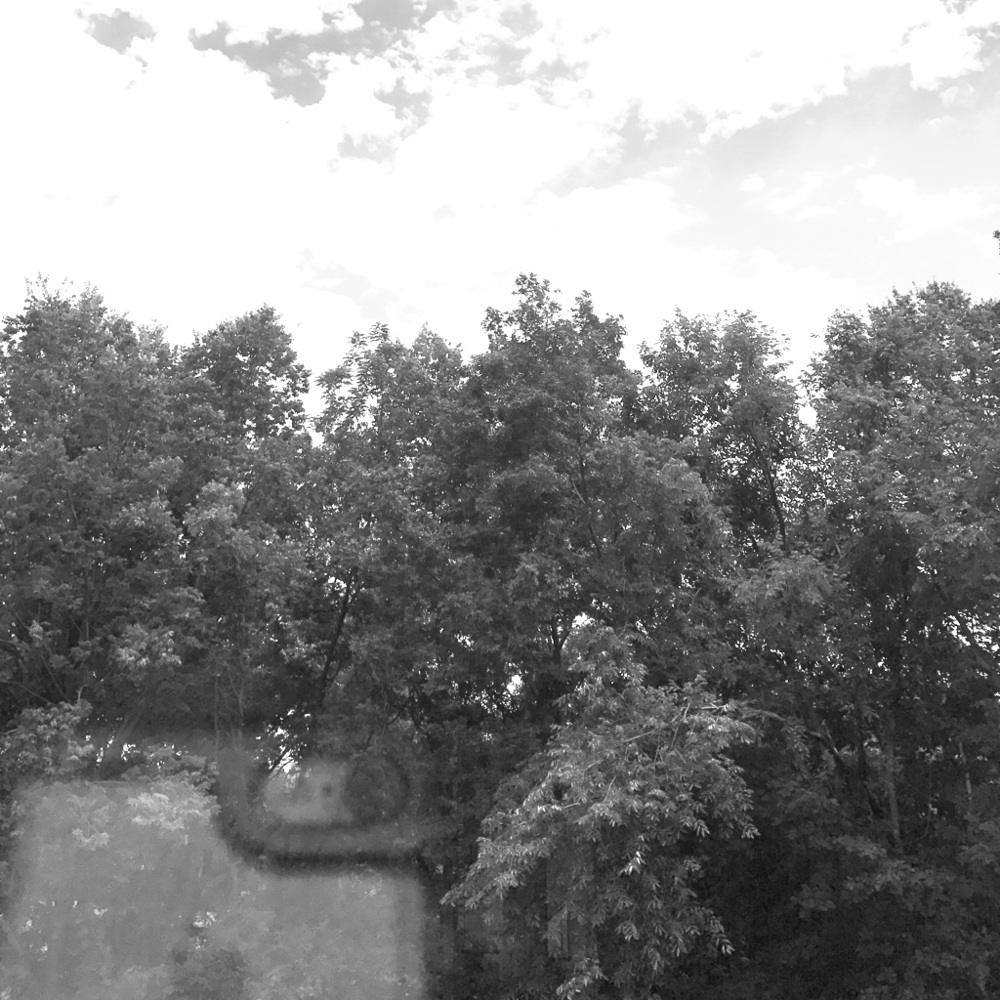 Meet your Posher, Mona