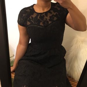 🌻 Dolce Vita Lace Cocktail Dress