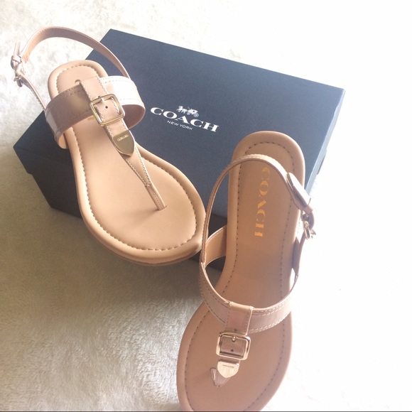 coach cassidy t strap sandal