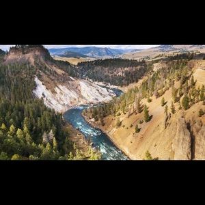 Meet your Posher, Leo