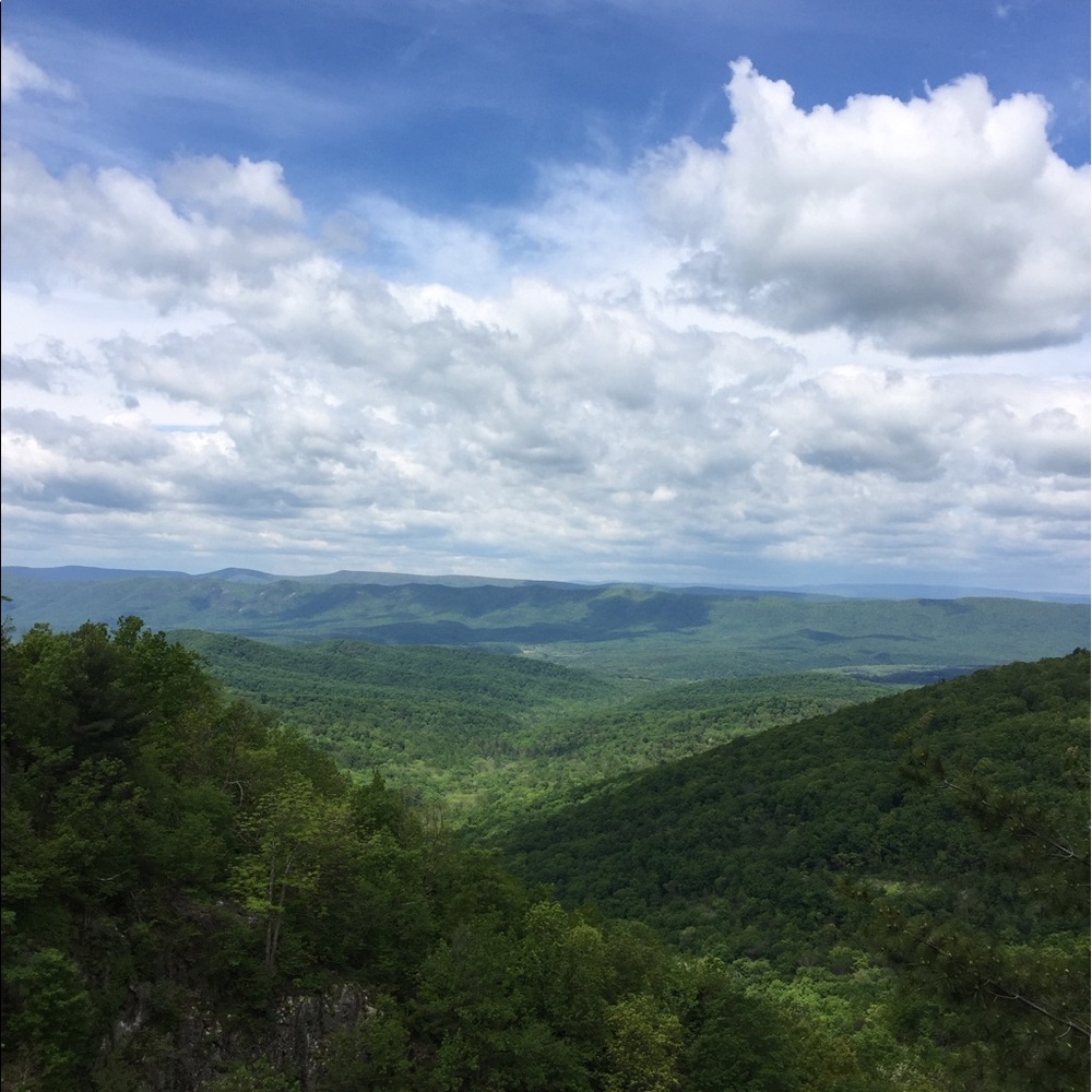 Meet your Posher, Jenn