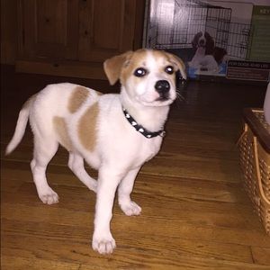 Meet your Posher, Jenny